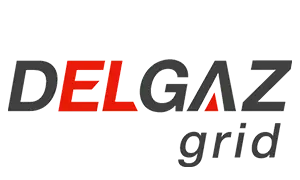 Logo Delgaz Romania Logo Delgaz Romania