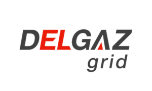 logo client delgaz client-image